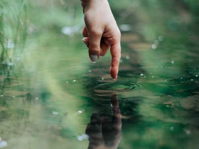 The Secret of&nbsp;Zeteo