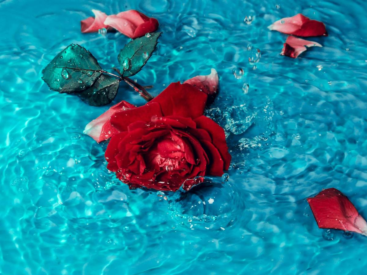 Embrace Your Destiny: Boldness in&nbsp;Spirit